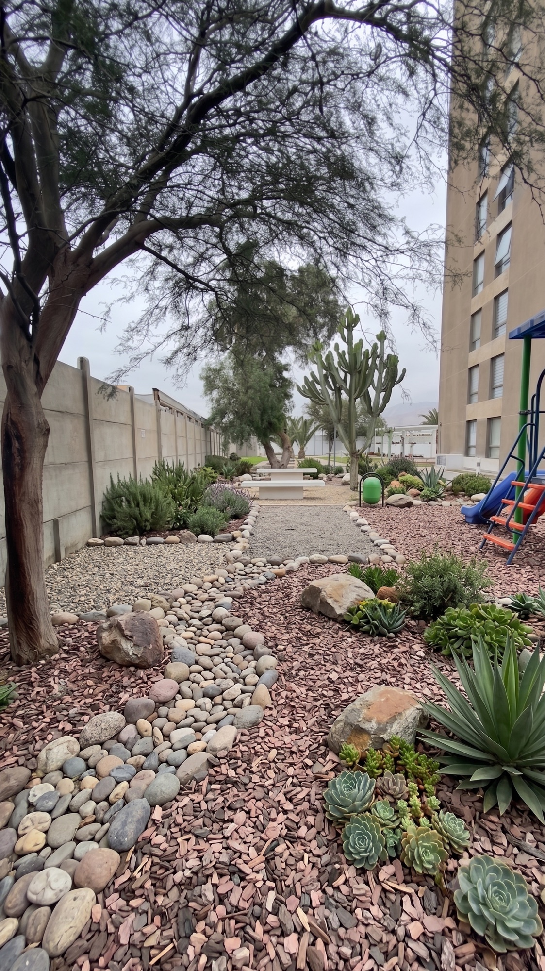 Jardín xerófito terminado junto a un edificio, con canto rodado, suculentas y agaves